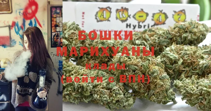 где найти наркотики  Западная Двина  Каннабис OG Kush 